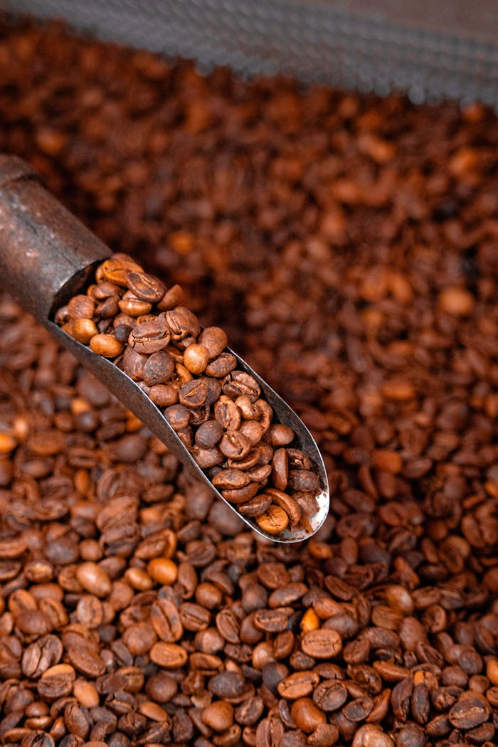 A detailed close-up of roasted coffee beans being scooped, highlighting the texture and roast quality.