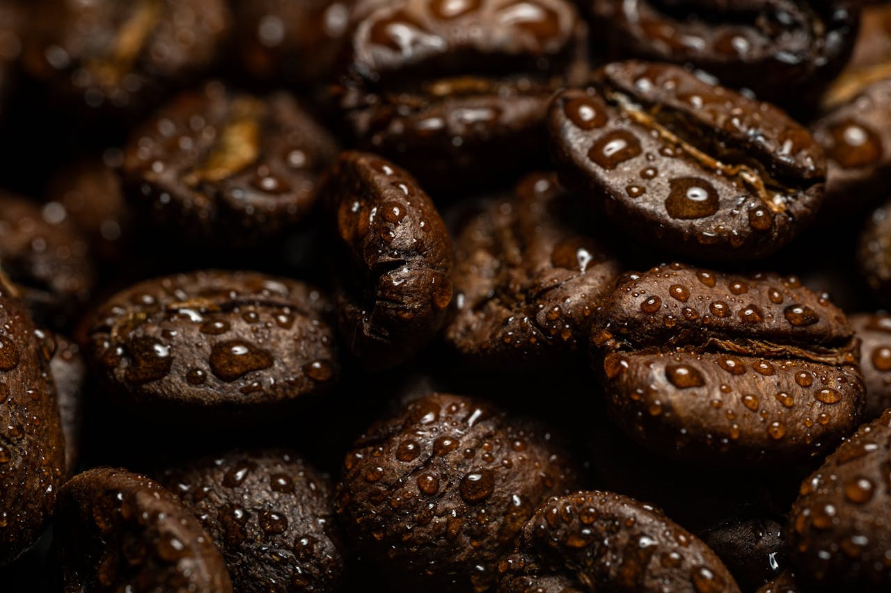 services-04 Close-up image of roasted coffee beans with dew, highlighting texture and freshness.