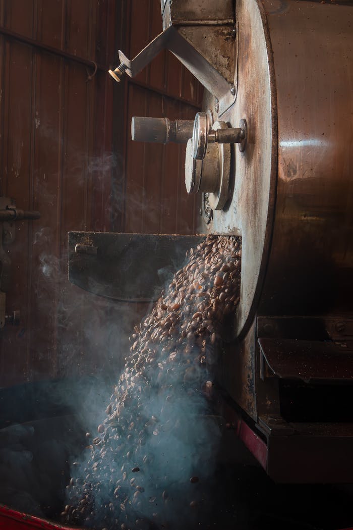 Steam rises as freshly roasted coffee beans spill from a large metal roasting machine.