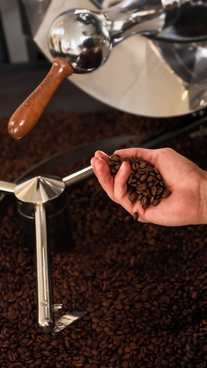 Close-up of hand with roasted coffee beans in front of roasting machine.